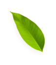 overlay-leaf